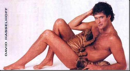 david-hasselhoff.1