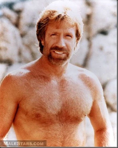 chuck norris 2