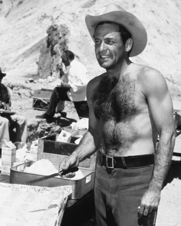 william holden