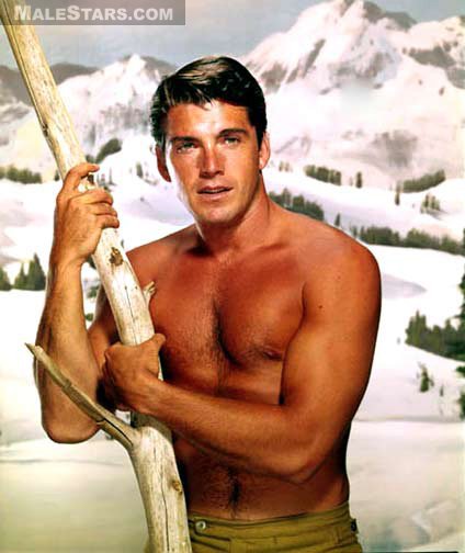 van williams 2