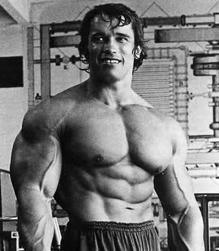 Arnold_Schwarzenegger 2